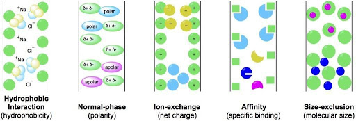 Chromatography Methods