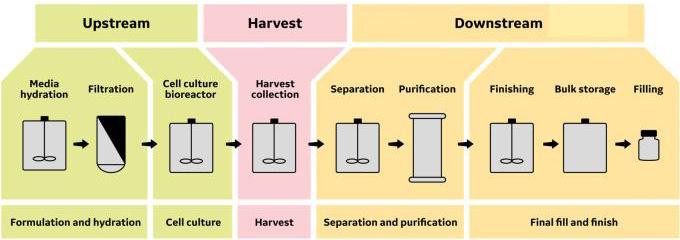 Bioprocessing Diagram | Upstream preperation, fermentation, and downstream processing.